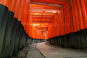 Une série de torii au sanctuaire Fushimi Inari, Kyoto, Japon
