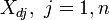 X_ {dj}, \ j = 1, n