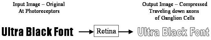 Edge-détection-2.jpg