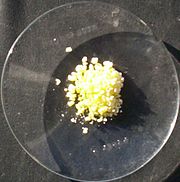 Verre de montre sur une surface noire avec une petite portion de cristaux jaunes