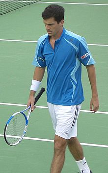 Tim Henman 2006 open.jpg australienne