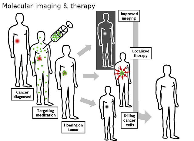 File:MolecularImagingTherapy.jpg