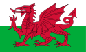Un drapeau d'un dragon passant rouge sur un fond vert et blanc.