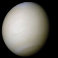Vénus dans environ vraies couleurs, une crème pâle presque uniforme, bien que l'image a été traitée pour faire ressortir les détails. [1] Le disque de la planète est d'environ trois quarts illuminés. Presque pas de variation ou de détail peut être vu dans les nuages.