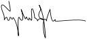 Signature Cursive à l'encre
