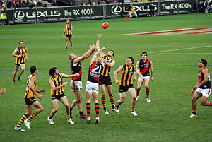 Arrêt dans un game.jpg AFL