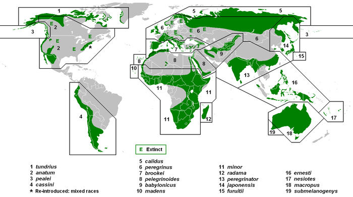 Une carte du monde, spectacles verts sur plusieurs continents, mais il ya aussi plusieurs grandes taches nues marqués d'E pour éteinte.
