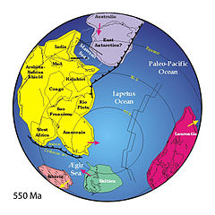 Positions des anciens continents, 550.000.000 années ago.jpg