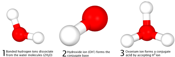 Bronsted-Lowry-3d-explication-diagram.png