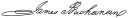 Cursive signature à l'encre