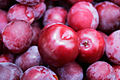 Plum.jpg Brillant