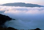 Côte Nord fog.jpg