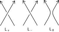 Skein (HOMFLY) .png