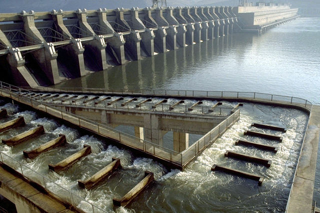 File:John Day Dam fish ladder.jpg