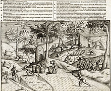 Grabado mostrando marineros holandeses que trabajan en Mauricio, así como varios animales de la zona, incluyendo un Dodo