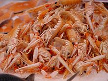 Un montón de pequeñas langostas rosadas en sus lados, con sus garras extendidas hacia delante hacia la cámara.