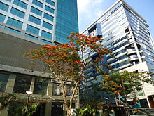 Dos mediados de altura cubiertas de edificios de cristal con árboles en el frente