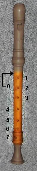 Numerada holes.jpg dedo