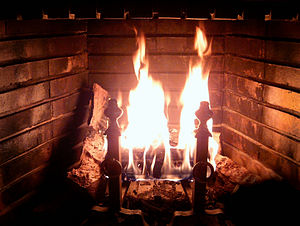 Chimenea de leña con la quema de registro.