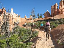 Jinetes a caballo en un camino de tierra que va hacia pilares de roca rosada