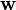 \ Bold {w}