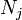 N_ {j}