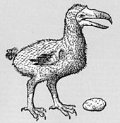 Dibujo de un Dodo al lado de una gran piedra molleja