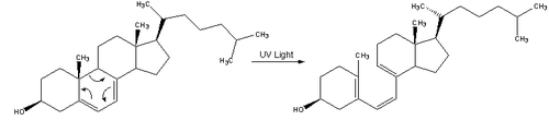 Reacción-dehidrocolesterol-PrevitaminD3.png
