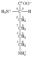 La lisina contiene seis átomos de carbono. El átomo de carbono central conectado a los grupos amino y carboxilo se etiqueta alfa. Los cuatro átomos de carbono en su cadena lateral lineal están etiquetados a partir de beta (el más cercano a la central de carbono), gamma, delta, a través de al carbono epsilon en el extremo de la cadena y más lejos de la central de carbono.